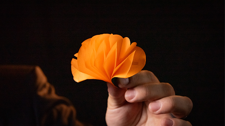 SPRING FLOWERS (2 PK PAPER) | Murphy's Magic-Murphy's Magic Productions-Deinparadies.ch