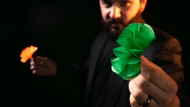 SPRING FLOWERS (2 PK PAPER) | Murphy's Magic-Murphy's Magic Productions-Deinparadies.ch