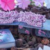 Sakura Renaissance 3D Pop-up Moonlight Edition Playing Cards-Deinparadies.ch-Deinparadies.ch
