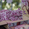 Sakura Renaissance 3D Pop-up Sunlight Edition Playing Cards-Deinparadies.ch-Deinparadies.ch