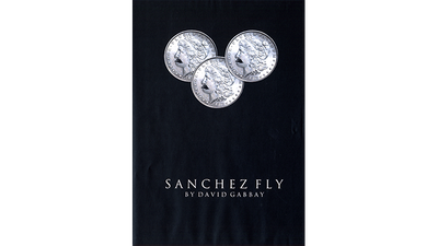 Sanchez Fly by David Gabbay - Video Download Miracle Junkie - David Gabbay Deinparadies.ch