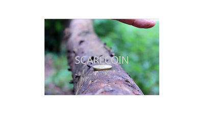 Scare Coin by Arnel Renegado - - Video Download ARNEL L. RENEGADO at Deinparadies.ch