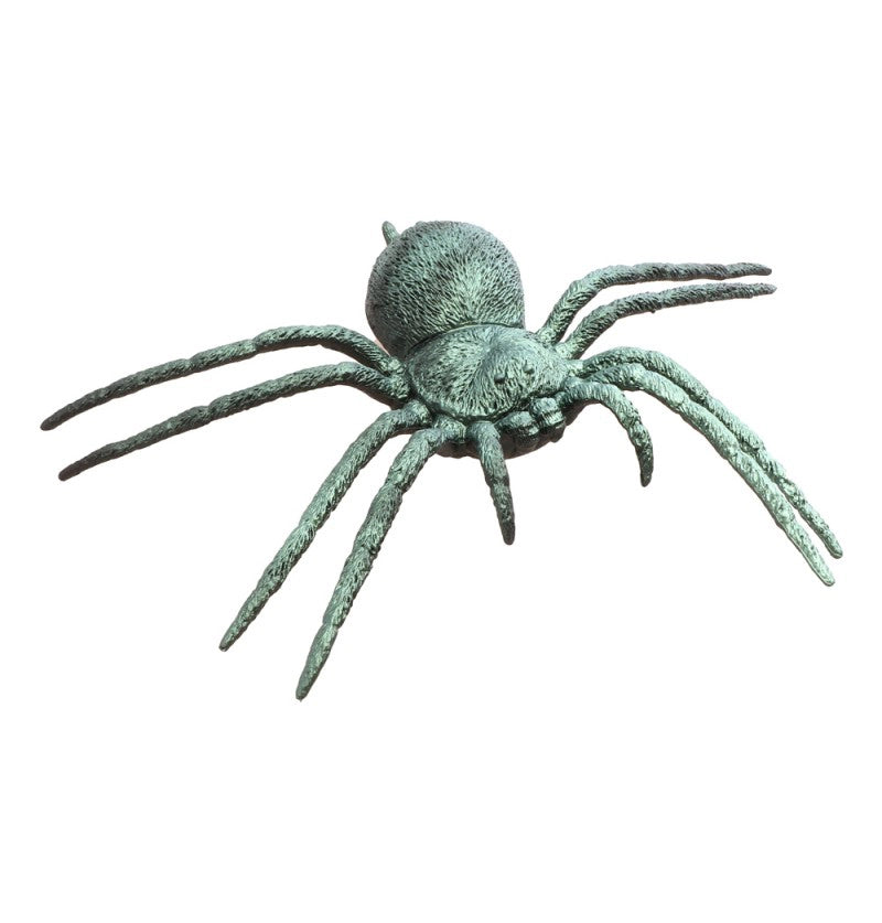 Schillernde grüne Riesenspinne-Chaks-Deinparadies.ch