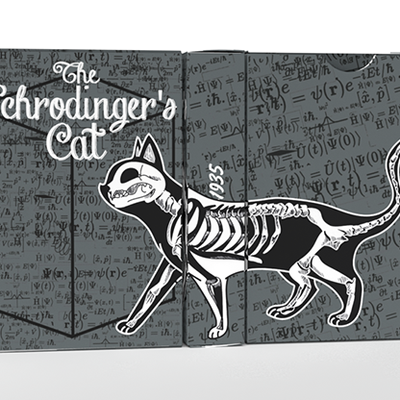 Schrodinger's Cat: Dead and Alive Edition Playing Cards-GABANGEL-Deinparadies.ch