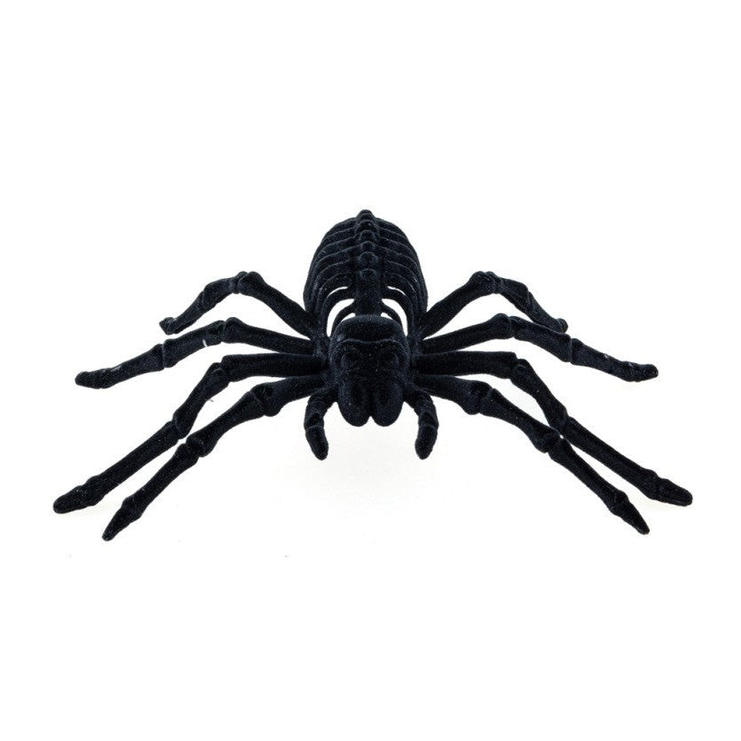 Gessetti di ragno scheletro nero da 22 cm Deinparadies.ch