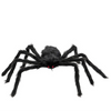 Schwarze Spinne mit roten Augen 60cm-Carnival Toys-Deinparadies.ch
