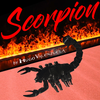Scorpion | Hugo Valenzuela Magical Universe bei Deinparadies.ch
