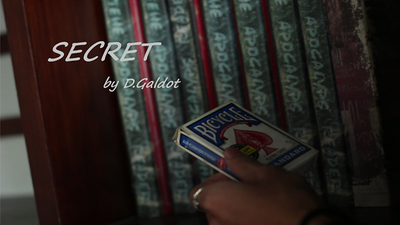 Secret by D.Galdot - Video Download Luu Duc Hieu bei Deinparadies.ch