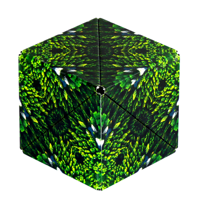 Shashibo Cube Forest