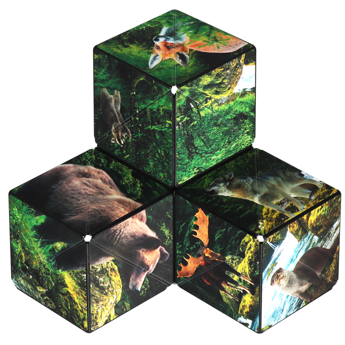 Forêt de cubes de Shashibo