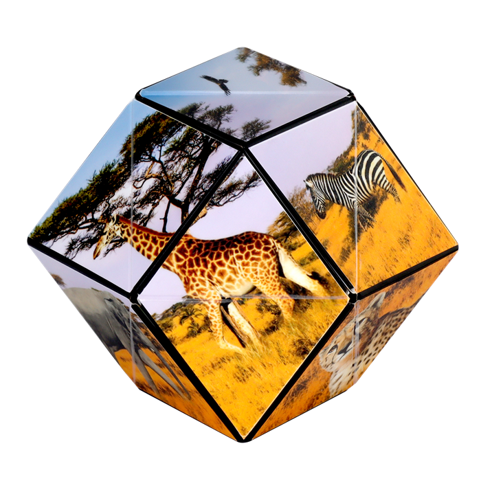 Shashibo Cube Savane