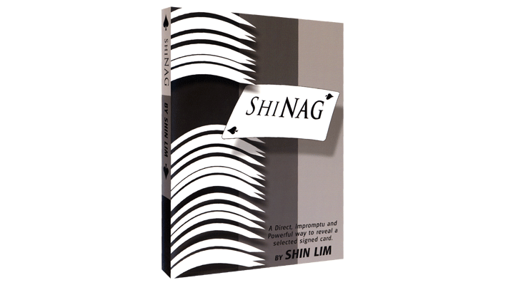 Shinag | Shin Lim - Video Download