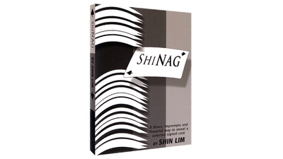 Shinag | Shin Lim - Video Download