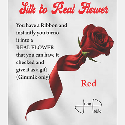 Silk to Real Flower (Red) | Juan Pablo-Juan Pablo Ibañez-Deinparadies.ch