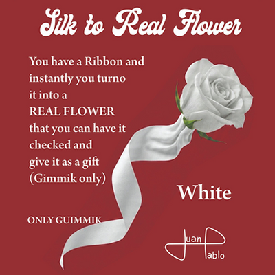 Silk to Real Flower (White) | Juan Pablo-Juan Pablo Ibañez-Deinparadies.ch