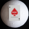 Silver Foil NASA Worm Playing Cards