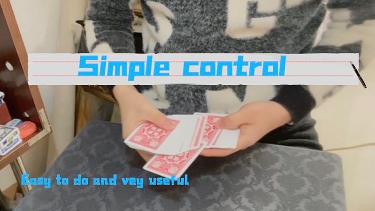 Simple Control by Dingding - Video Download Dingding bei Deinparadies.ch