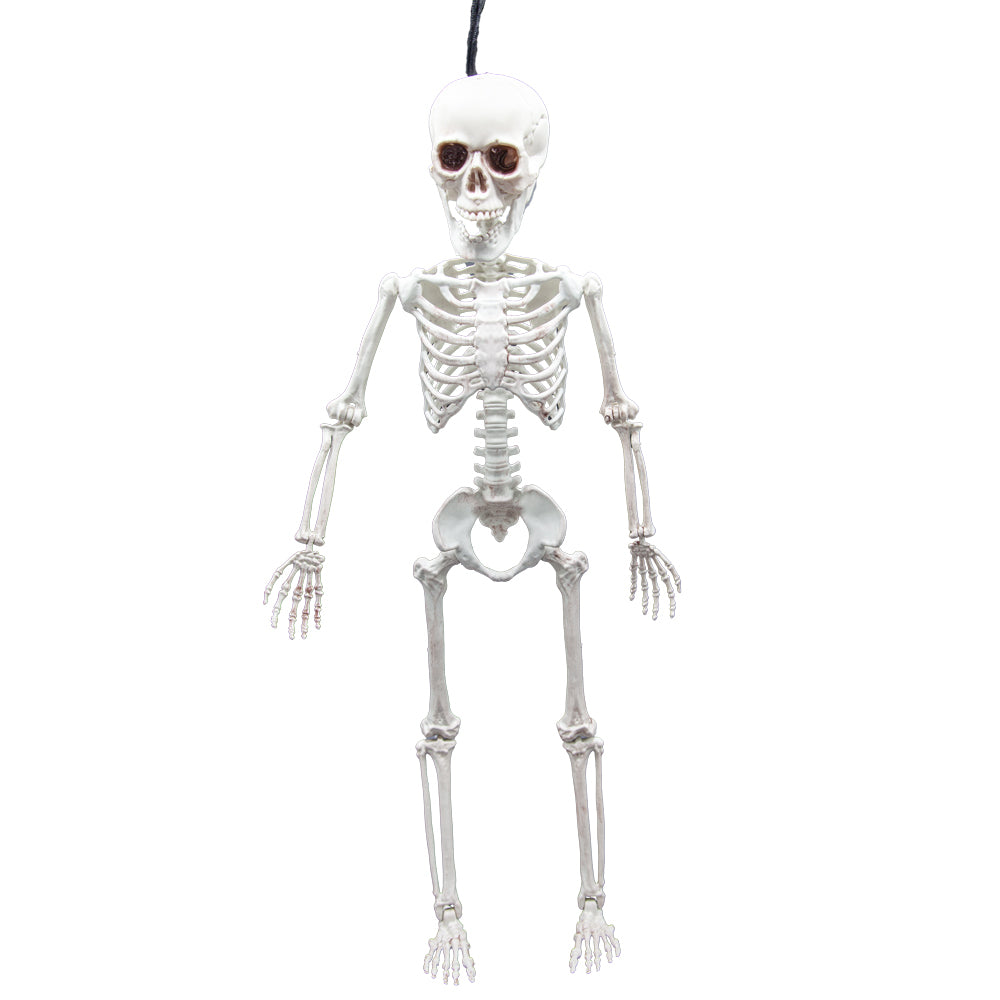Skelett zum Aufhängen (60cm)-Wicked-Deinparadies.ch