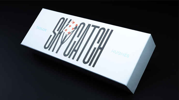 Sky Catch | Taylor Hughes-Vanishing Inc.-Deinparadies.ch