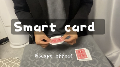 Smart Card by Dingding - Video Download Dingding bei Deinparadies.ch