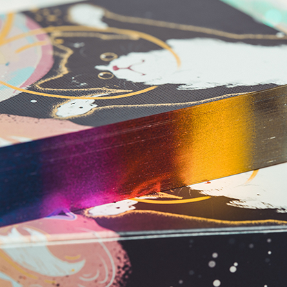 Space Cat V2 Collector's Box Set Playing Cards | King Star-Secret Factory-Deinparadies.ch