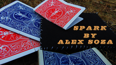 Spark by Alex Soza - Video Download Alex Andrès Soza Espinoza bei Deinparadies.ch