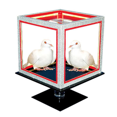 Special Disappearing Dice | Tora Magic-Tora Magic-Deinparadies.ch