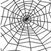 Spinnen mit Spinnennetz-Smiffys-Deinparadies.ch