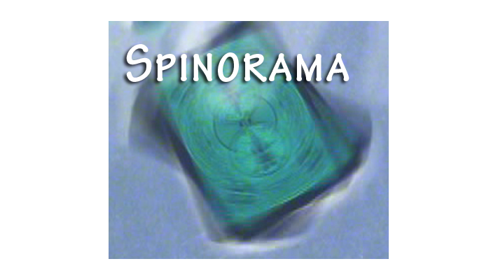 Spinorama by William Lee - Video Download Deinparadies.ch bei Deinparadies.ch