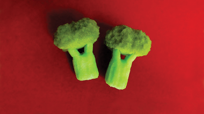 Sponge Broccoli | Alexander May Alexander May at Deinparadies.ch