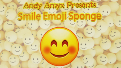 Sponge Emoji SMILE FACE (4PK.) | Andy Amyx