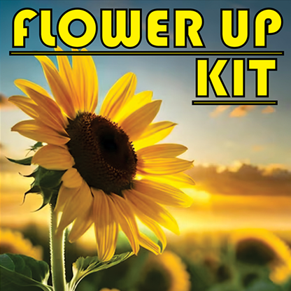 Super Flower Kit | Mago Flash-Daniel Diaz-Deinparadies.ch