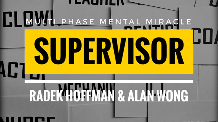 Supervisor | Radek Hoffman-Alan Wong-Deinparadies.ch