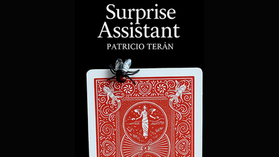 Surprise Assistant | Patricio Teran - Video Download-patricio antonio teran mora-Deinparadies.ch