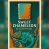 Sweet Chameleon | André Previato-André Previato Bonafini-Deinparadies.ch