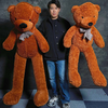 Teddy Bear Appearance (Extra Large) | MS Magic-Lee Jah Bond-Deinparadies.ch