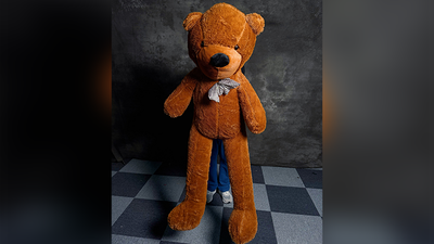 Teddy Bear Appearance (Extra Large) | MS Magic-Lee Jah Bond-Deinparadies.ch