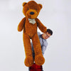 Teddy Bear Appearance | large-JL Magic-Deinparadies.ch