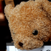 Teddy Unframed | Bond Lee & JC Magic-Lee Jah Bond-Deinparadies.ch