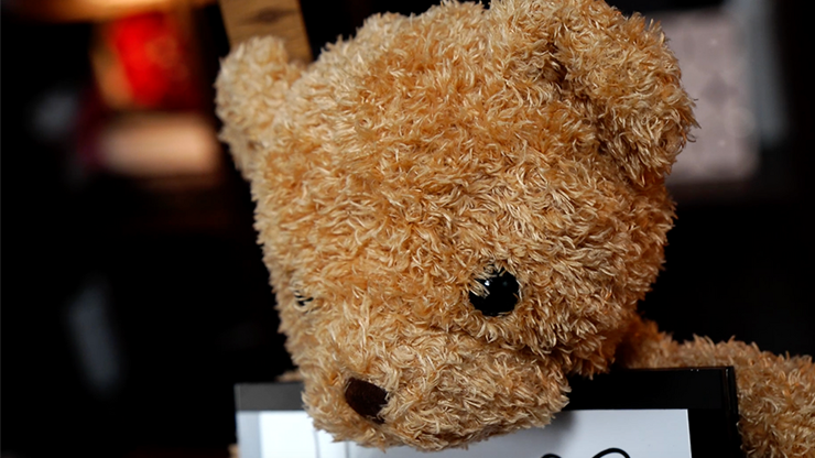 Teddy Unframed | Bond Lee & JC Magic-Lee Jah Bond-Deinparadies.ch