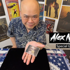 The Baby Hand | Michael Ammar-Hanson Chien-Deinparadies.ch