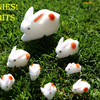 The Bunnies! 3D Rabbits (Parents, Kids & Grandpa)-TRICKSUPPLY-Deinparadies.ch