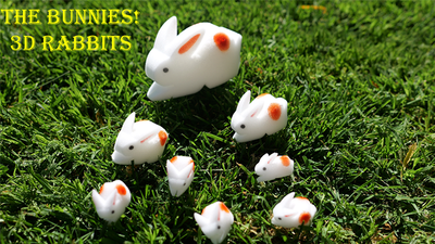 The Bunnies! 3D Rabbits (Parents, Kids & Grandpa)-TRICKSUPPLY-Deinparadies.ch