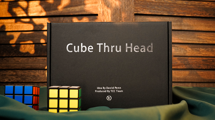 Cube Through Head | David Penn | Deinparadies.ch