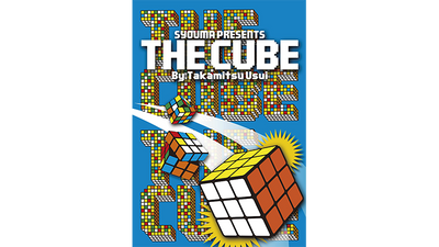 The Cube by Takamitsu Usui Tejinaya at Deinparadies.ch