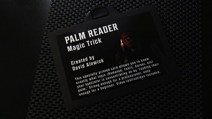 The Palm Reader Card | David Alnwick-Deinparadies.ch-Deinparadies.ch