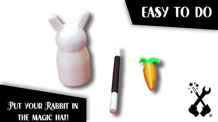 The Rabbit In the Hat | Creativity Lab