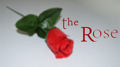 The Rose by Sandro Loporcaro (Amazo) - Video Download Sorcier Magic at Deinparadies.ch