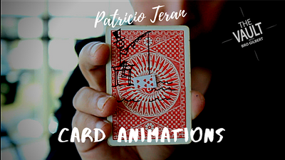 The Vault - Card Animations by Patricio Teran - Video Download patricio antonio teran mora bei Deinparadies.ch