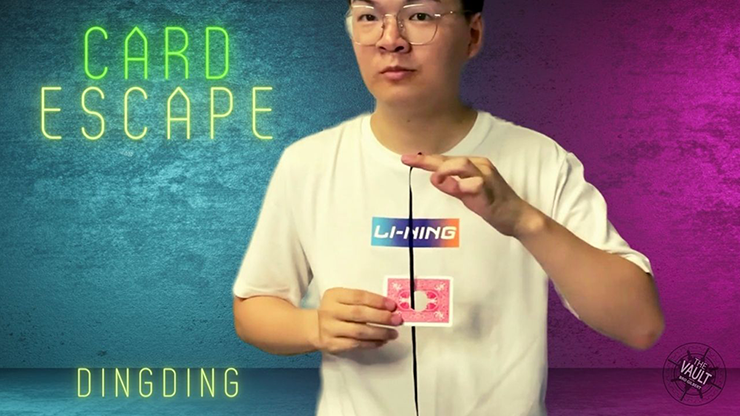 The Vault - Card Escape | Dingding - Video Download Dingding bei Deinparadies.ch